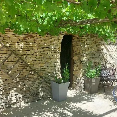 Natura Serena Ginkgo E * Messé