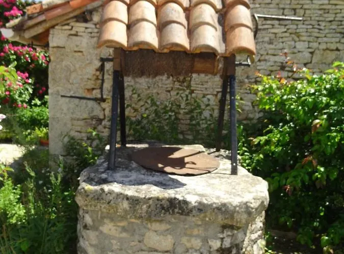 Natura Serena Ginkgo E *